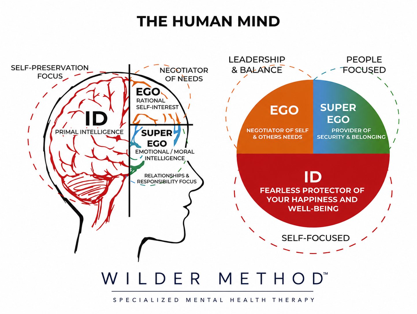 Diagram of the human mind showing the ID, the ego, and the superego.