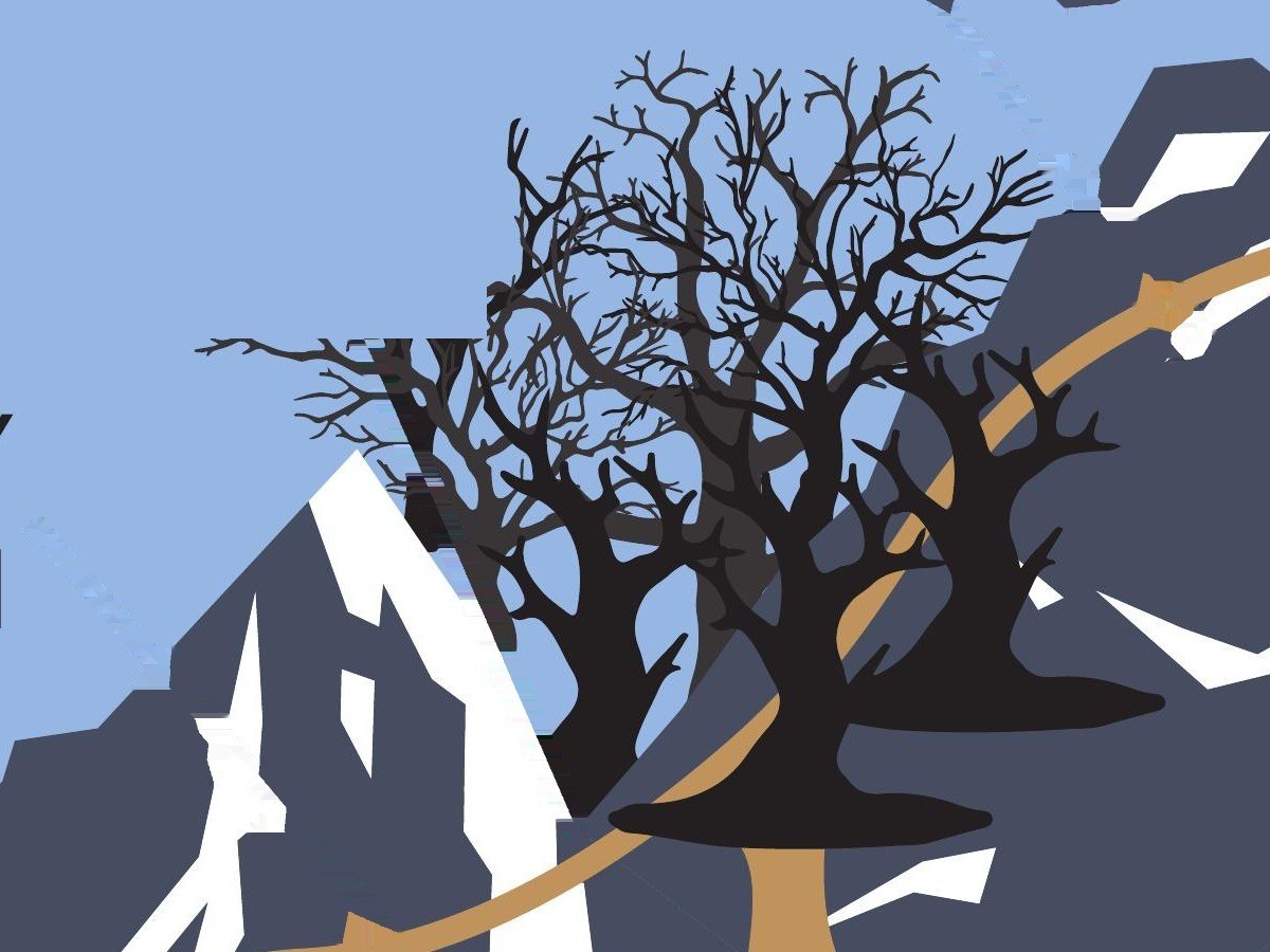 Close-up of the leafless dark forest on the mountainside beside the winding path.